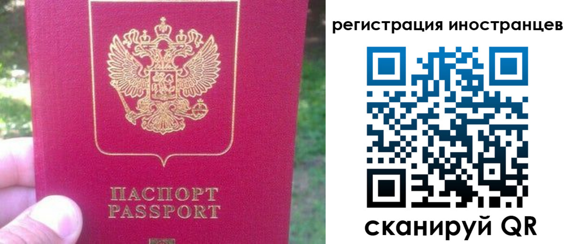 временная регистрация законно в Невеле